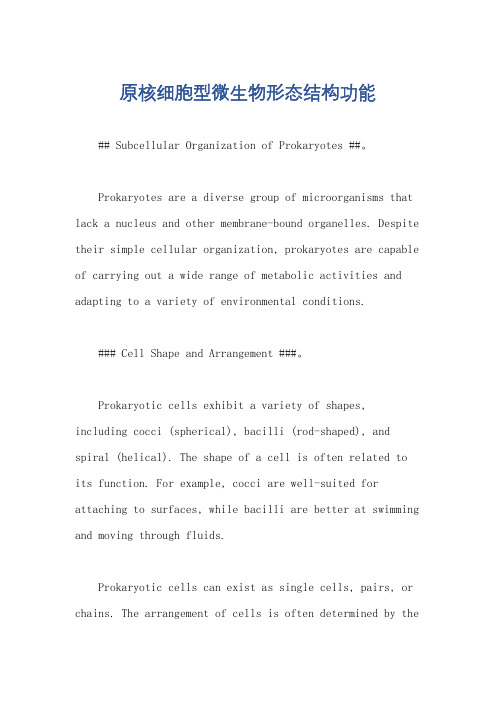 原核细胞型微生物形态结构功能