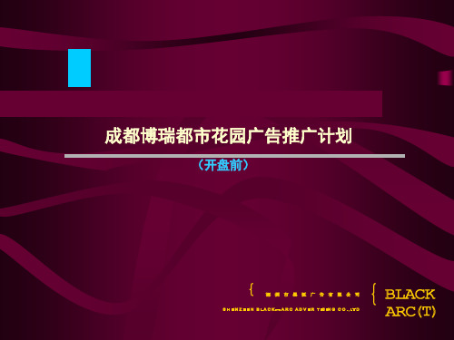 某房地产公司广告推广策略