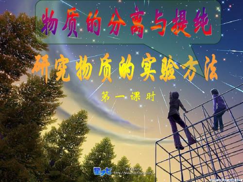 物质的分离和提纯(标准课件)