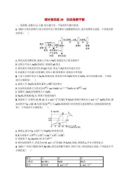 适用于新高考新教材广西专版2025届高考化学一轮总复习课时规范练29沉淀溶解平衡