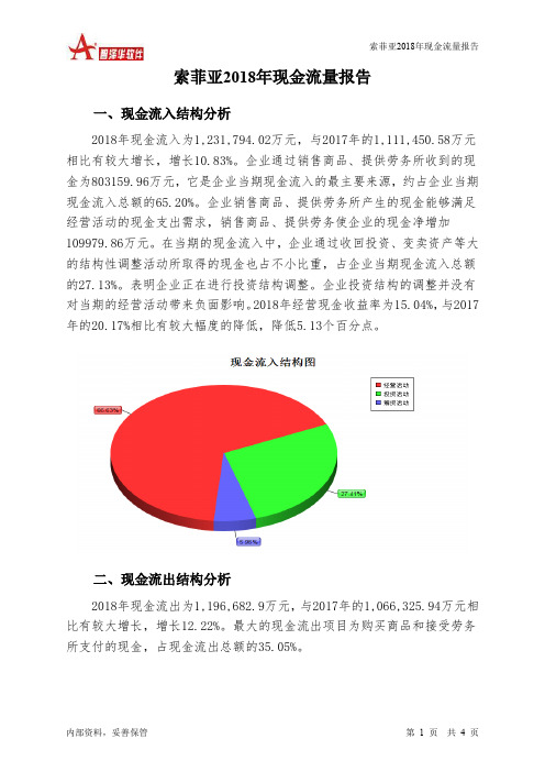 索菲亚2018年现金流量报告-智泽华