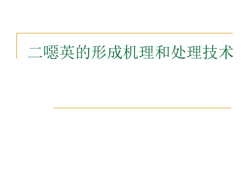 二恶英的形成机理和处理技术