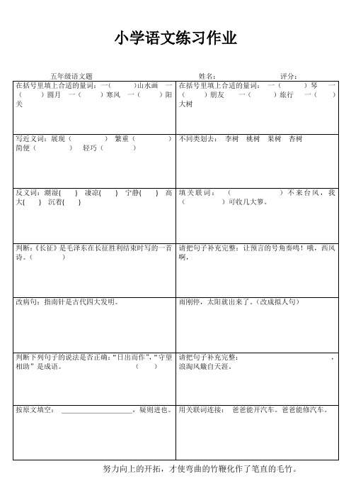 小学五年级语文课堂练习III (16)