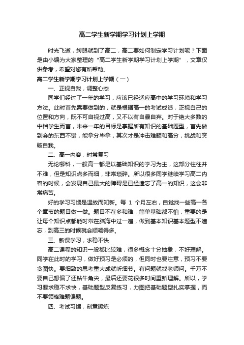 高二学生新学期学习计划上学期