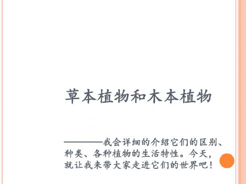 草本植物和木本植物资料-2022年学习资料