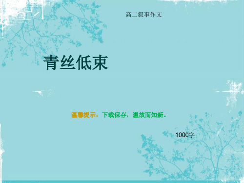 高二叙事作文《青丝低束》1000字