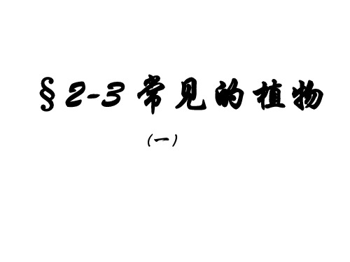 有种子的植物PPT课件(初中科学)