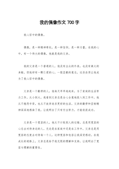 我的偶像作文700字