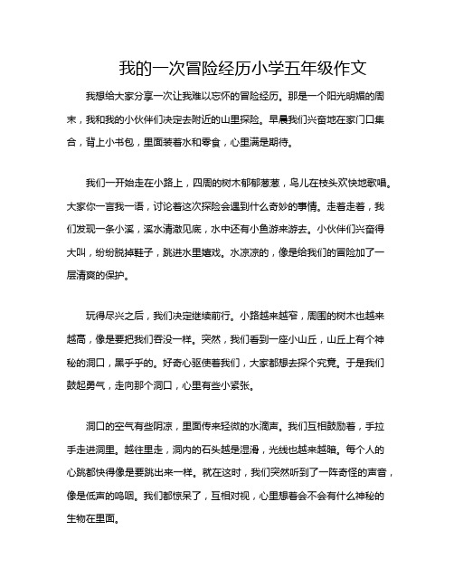 我的一次冒险经历小学五年级作文