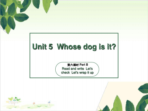 五年级下册英语-Unit5 Whose dog is it 第六课时 人教PPT精美版