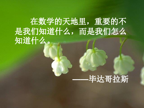 仰角与俯角演示教学