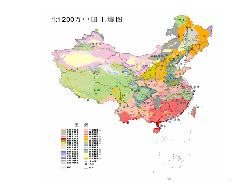 中国土壤的分类与分布规律PPT课件