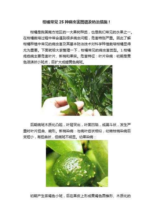 柑橘常见25种病虫害图谱及防治措施！