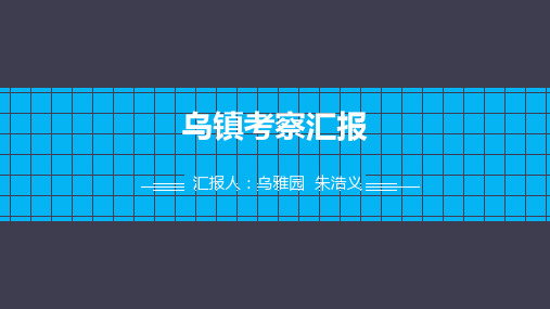 乌镇考察报告-乌镇雅园