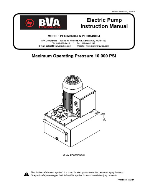 SFA Companies PE60M3N06J 电动泵说明书