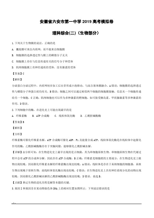 【精品解析】安徽省六安市第一中学2019届高三下学期高考模拟试卷(二)理科综合生物试题(附解析)