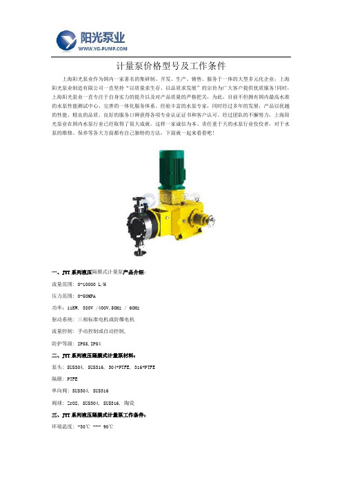 计量泵价格型号及工作条件