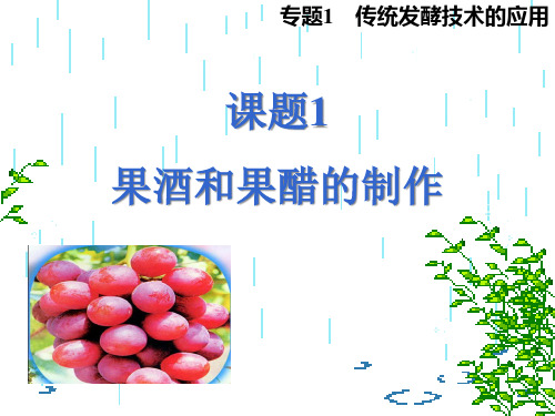 果酒和果醋的制作基础知识