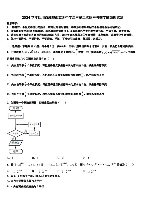 2024学年四川省成都市棠湖中学高三第二次联考考数学试题理试题