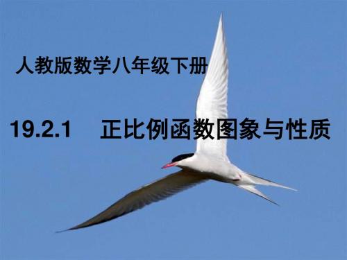 人教版八年级下册第十九章19.2.1正比例函数性质和图像(共25张PPT)