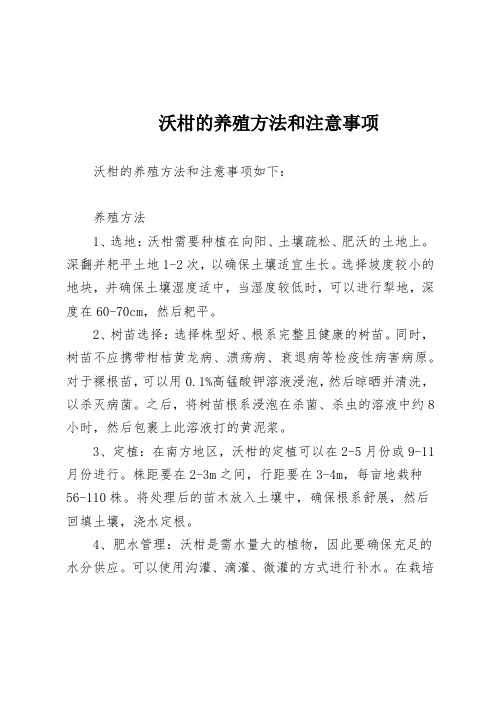 沃柑的养殖方法和注意事项