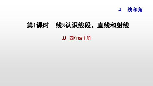 冀教版四年级上册数学作业课件-4.1线(11页)PPT