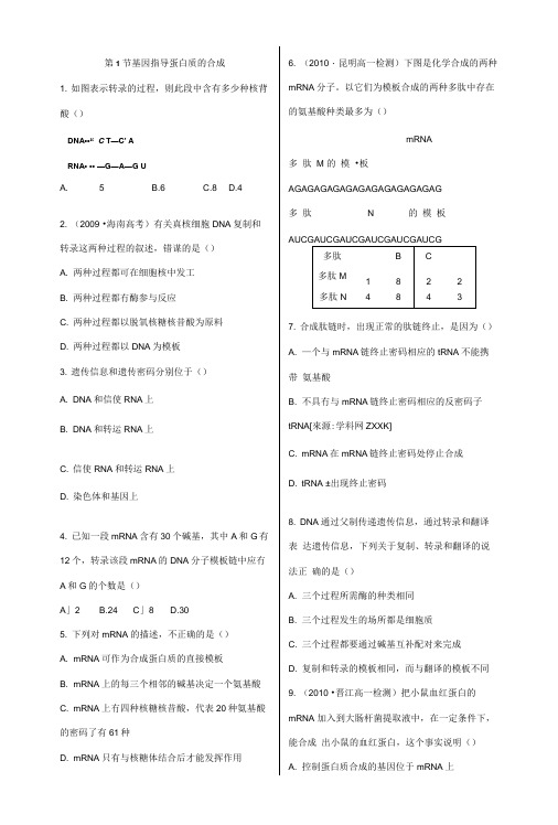 第1节-基因指导蛋白质的合成习题.doc