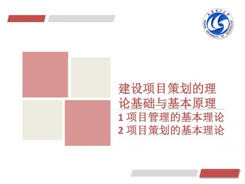 A2 建设项目策划的理论基础与基本原理