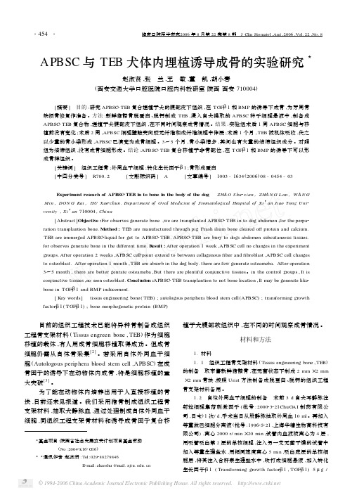 APBSC与TEB犬体内埋植诱导成骨的实验研究3