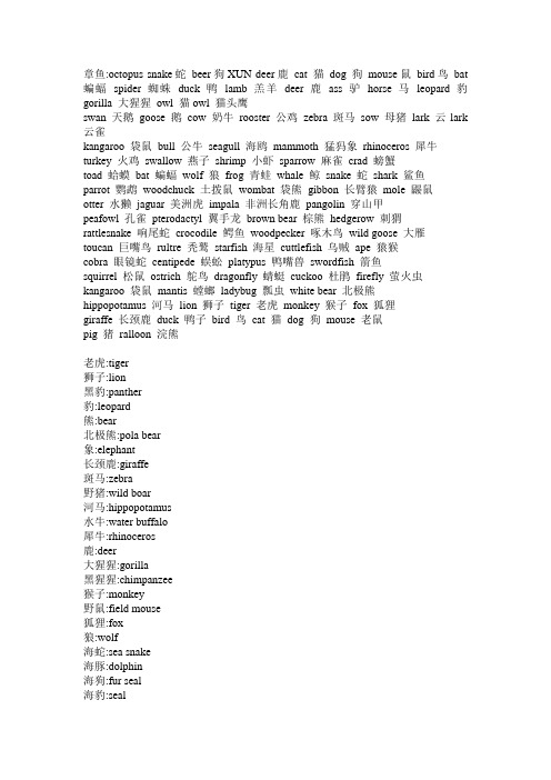 动物英文名100个大全