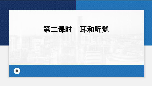 人体对外界环境的感知(第二课时 耳和听觉)课件(共21张PPT)人教版生物七年级下册