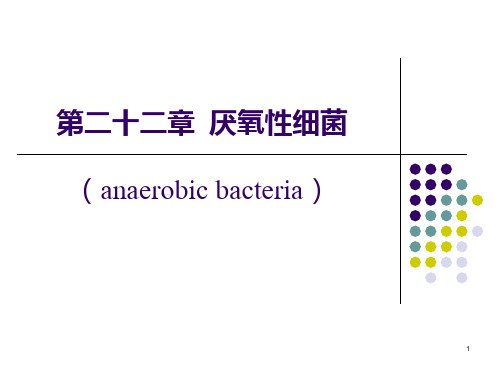 第22章 厌氧性细菌