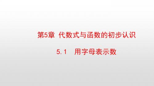 最新青岛版七年级数学上册第5章代数式与函数的初步认识PPT