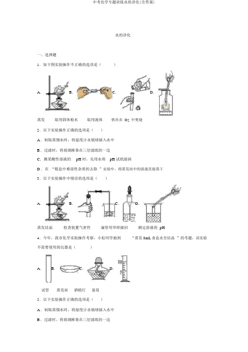 中考化学专题训练水的净化(含答案)