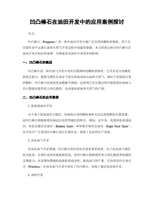 凹凸棒石在油田开发中的应用案例探讨