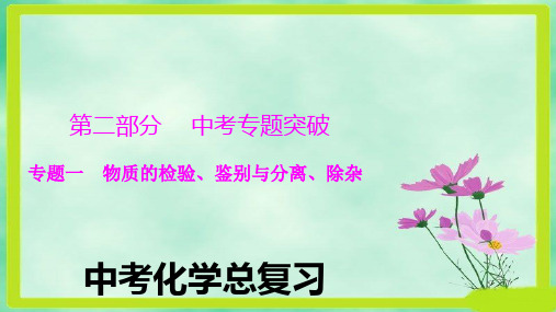 人教版九年级中考化学复习课件：专题一_物质的检验、鉴别与分离、除杂