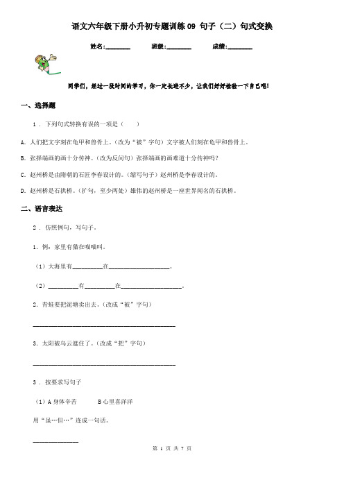 语文六年级下册小升初专题训练09 句子(二)句式变换