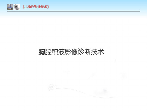 【小动物影像技术课件】胸腔积液影像诊断技术