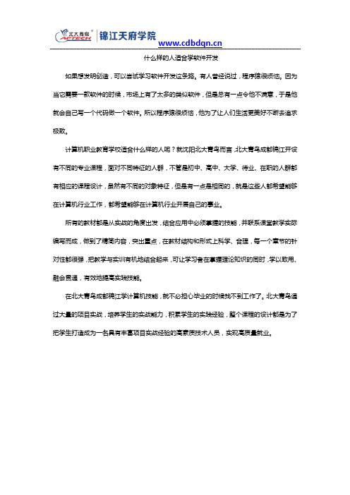 什么样的人适合学软件开发