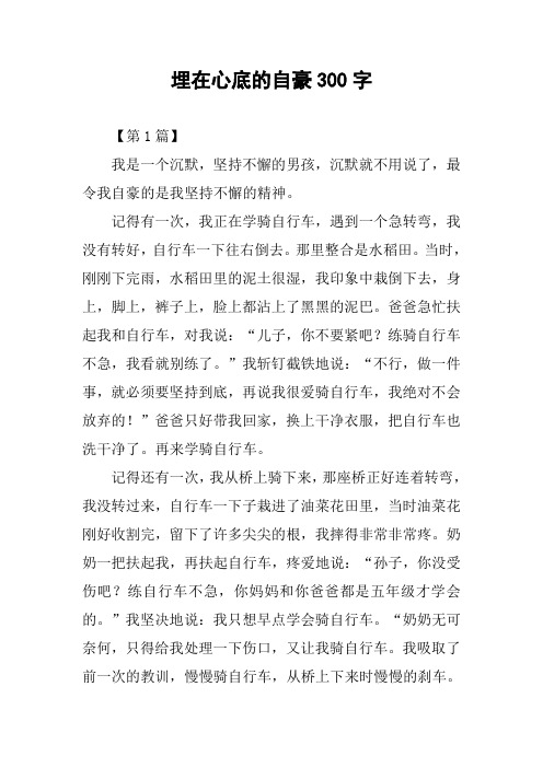 埋在心底的自豪300字作文