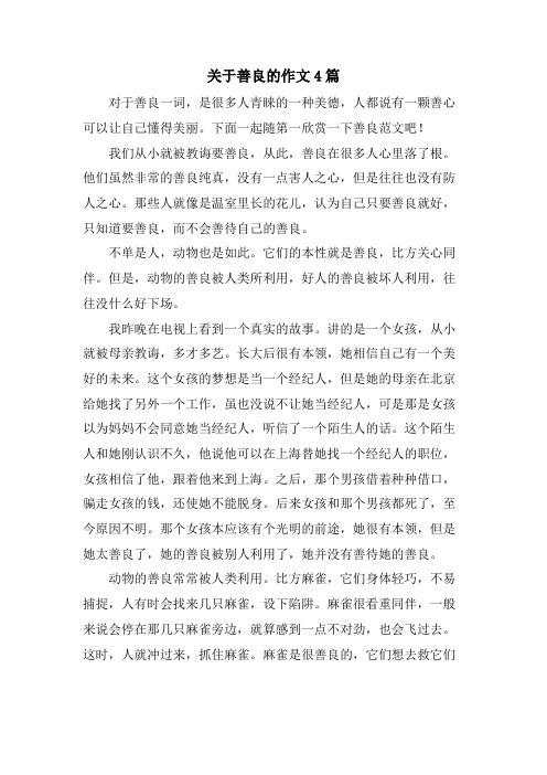 关于善良的作文4篇