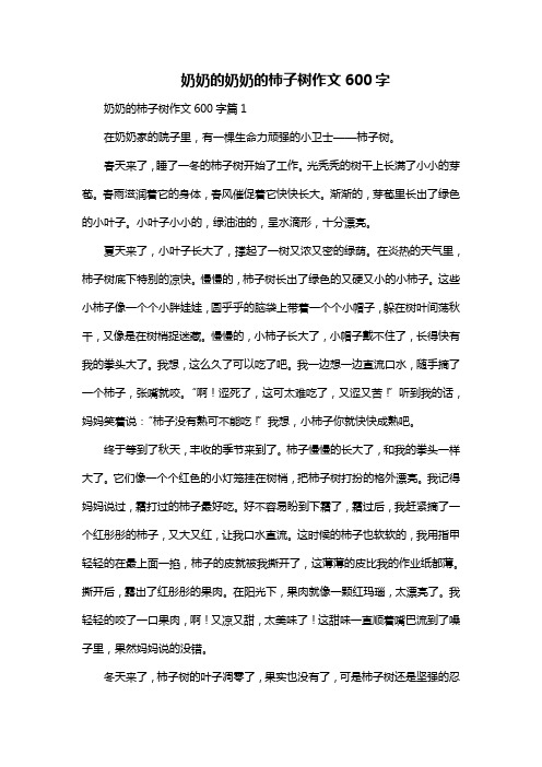 奶奶的柿子树作文600字