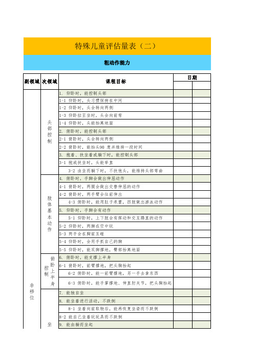 特殊儿童评估量表2(粗动作能力)