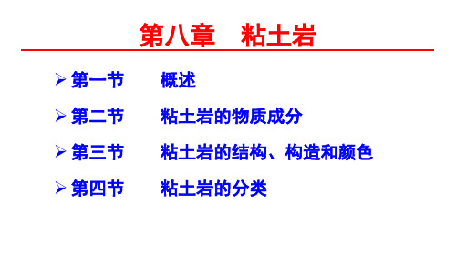 第八章粘土岩-油气储层研究中心