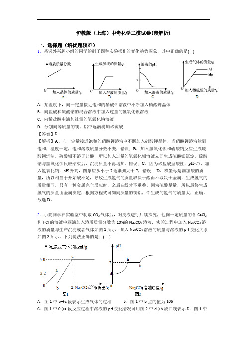 沪教版(上海)中考化学二模试卷(带解析)