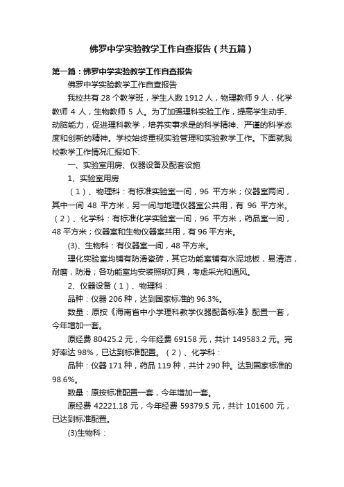 佛罗中学实验教学工作自查报告（共五篇）