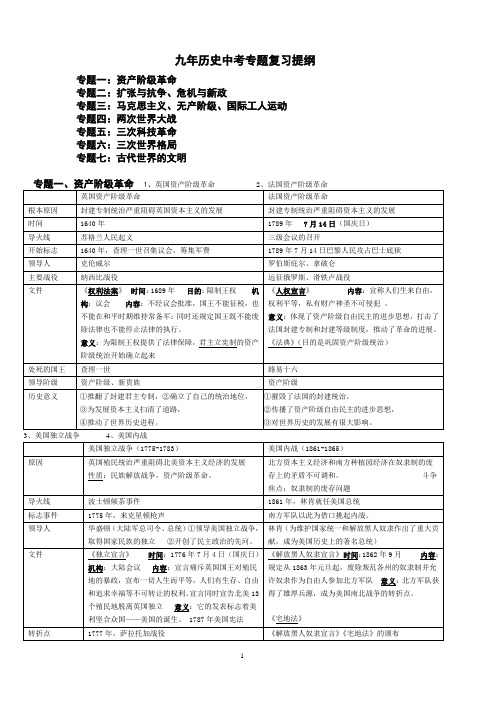 九年历史中考专题复习提纲