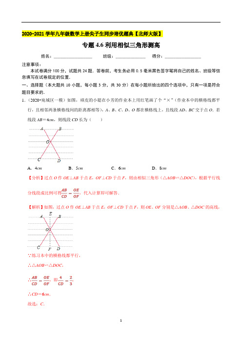 专题4-6利用相似三角形测高-(解析版)