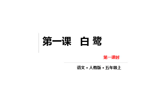 白鹭课件(共46张PPT)