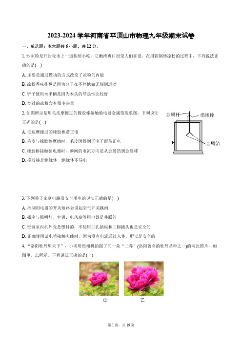 2023-2024学年河南省平顶山市物理九年级期末试卷(含解析).docx